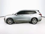 Cadillac XT6 AWD Premium Luxury 2023