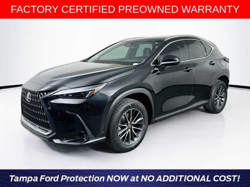Lexus NX 250 Base 2024