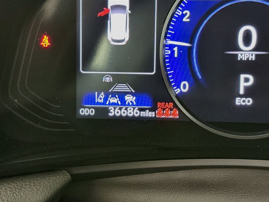 Lexus NX 250 Base 2024