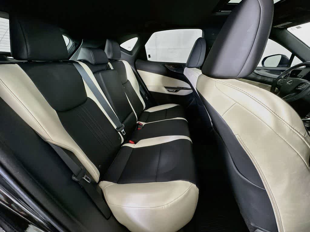 Lexus NX 250 Base 2024