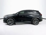 Lexus NX 250 Base 2024