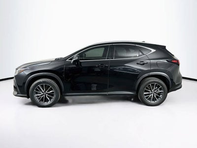 Lexus NX 250 Base 2024
