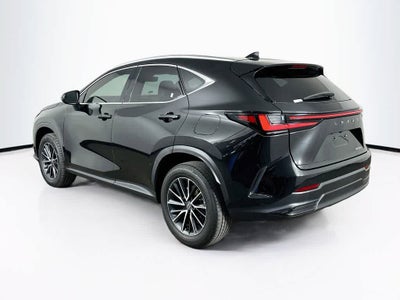 Lexus NX 250 Base 2024