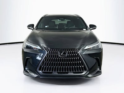Lexus NX 250 Base 2024