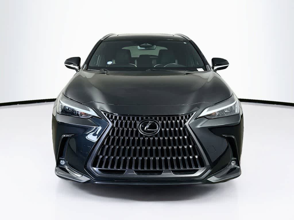 Lexus NX 250 Base 2024