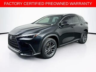 Lexus NX 250 Base 2024
