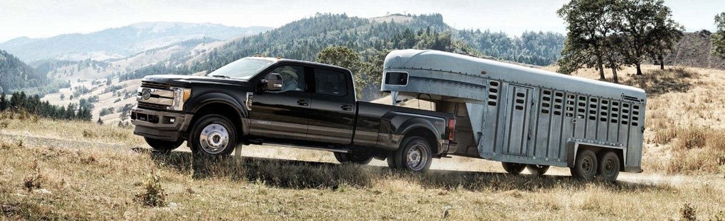 Elder Ford of Tampa en Tampa FL