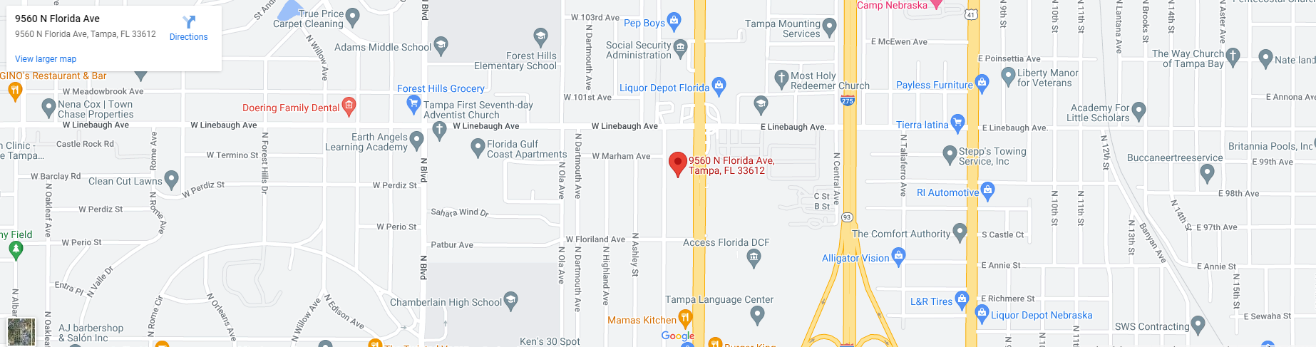 Mapa de Elder Ford de Tampa