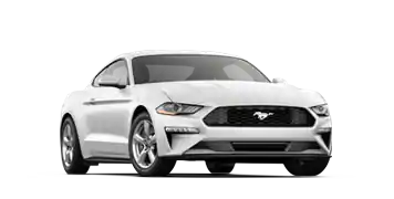 Elder Ford of Tampa en Tampa FL