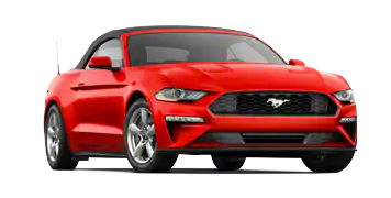 Elder Ford of Tampa en Tampa FL