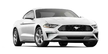 Elder Ford of Tampa en Tampa FL