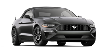 Elder Ford of Tampa en Tampa FL