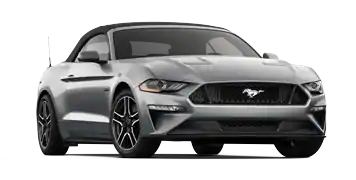 Elder Ford of Tampa en Tampa FL