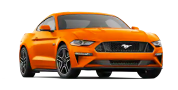 Elder Ford of Tampa en Tampa FL