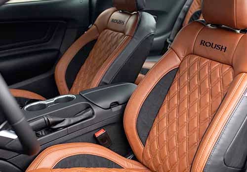 Motor Roush Performance