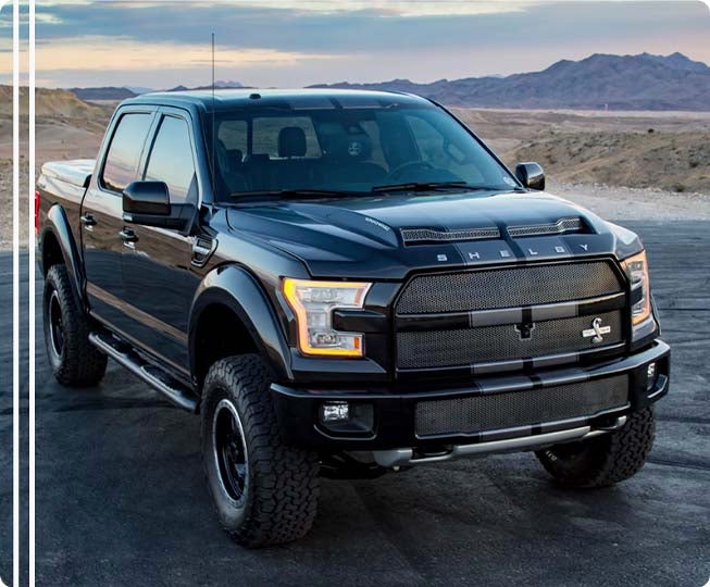 Shelby F150