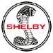 Vehículos Shelby